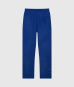 Hellstar No Guts No Glory! Sweatpants Blue (1)